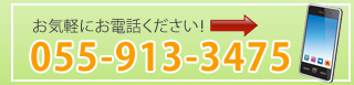 Call:055-913-3475